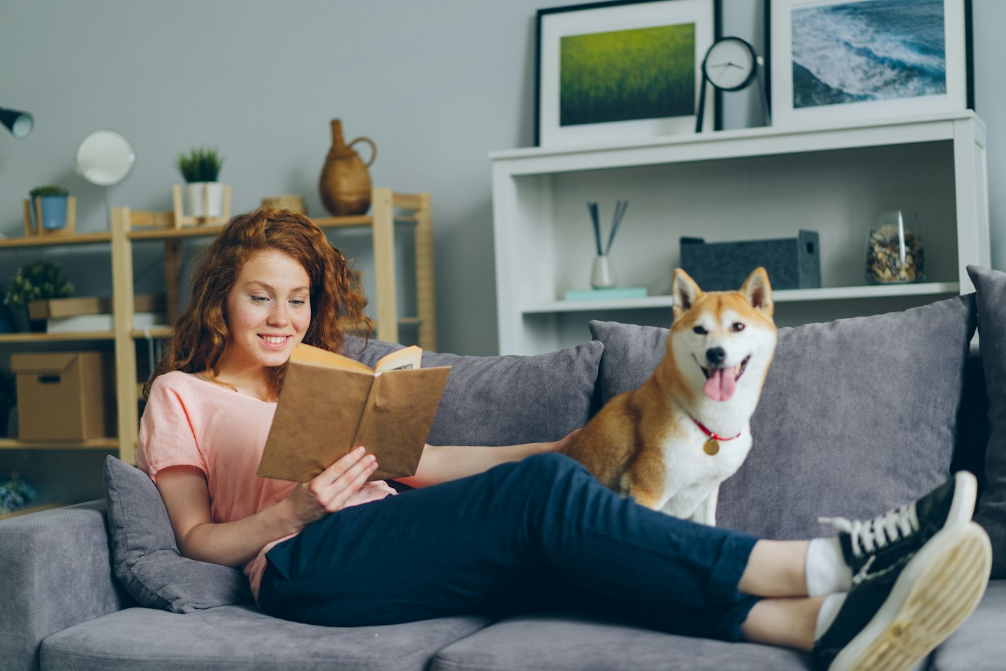 Frau liest Buch mit Hund auf Sofa im Wohnzimmer.