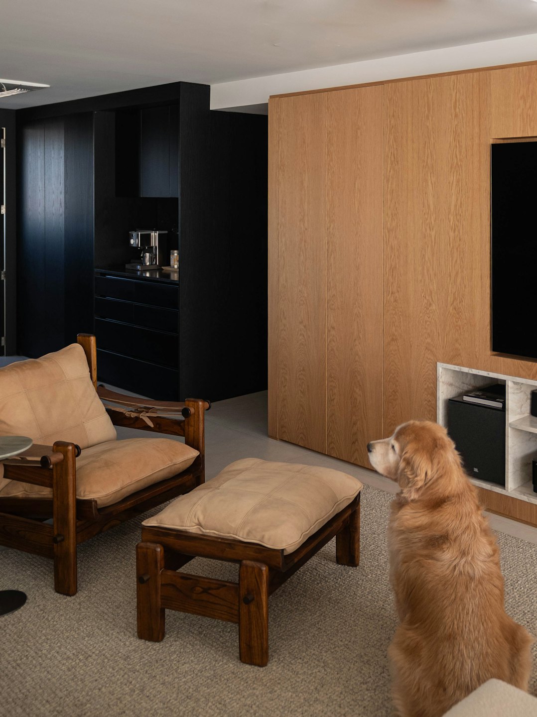 Goldener Retriever sitzt auf einem Teppich in einem modernen Wohnzimmer.