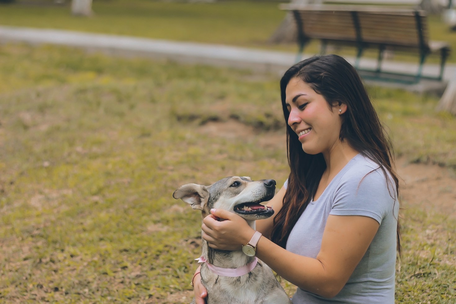 Barfen oder Trockenfutter: Welches Futter passt zu deinem Hund?