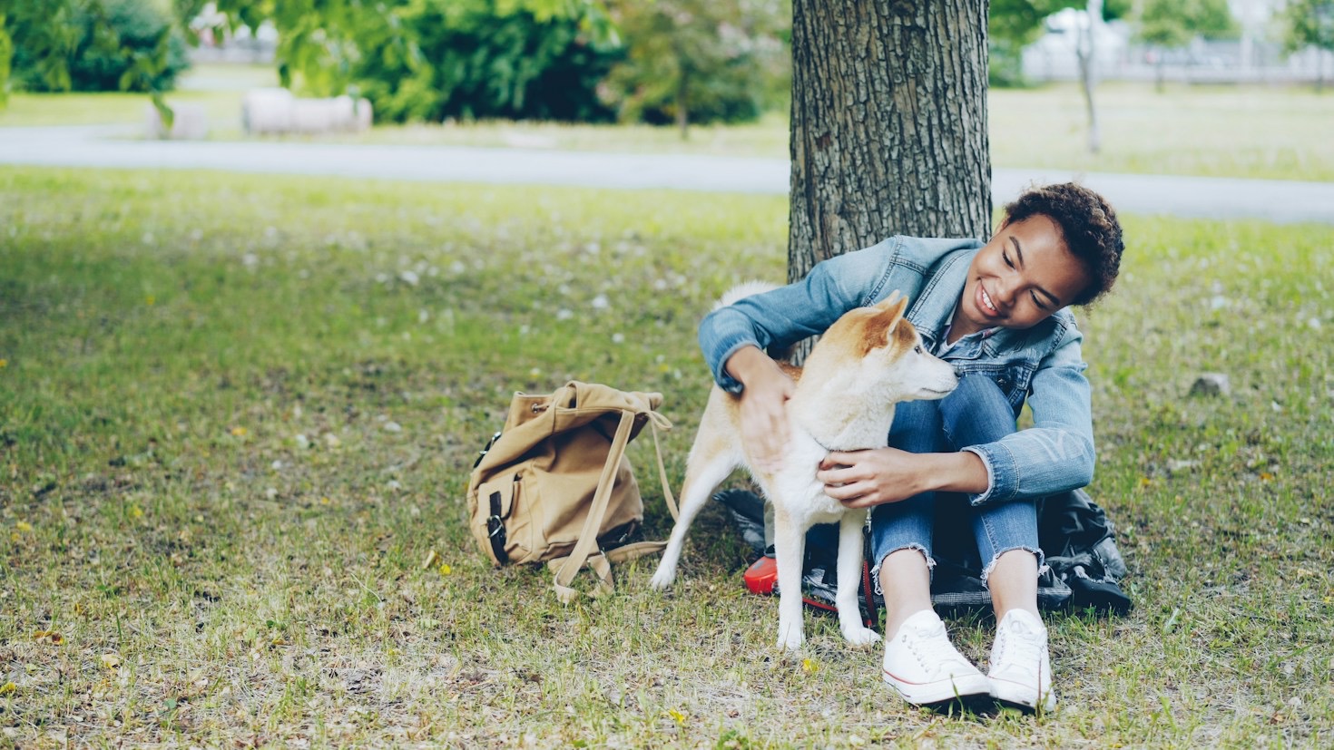 Erste Hilfe beim Hund: Wichtige Notfalltipps für Tierhalter
